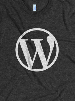 WordPress Swag